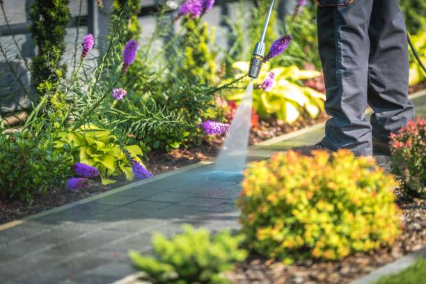 Best Boat and Dock Cleaning  in Walled Lake, MI